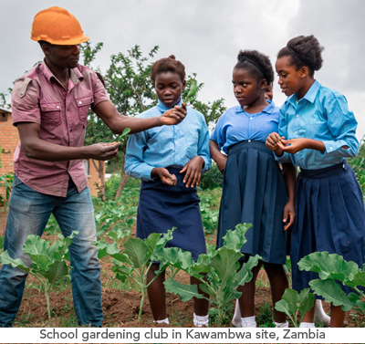 Chalice Community Projects - School gardening club in Zambia