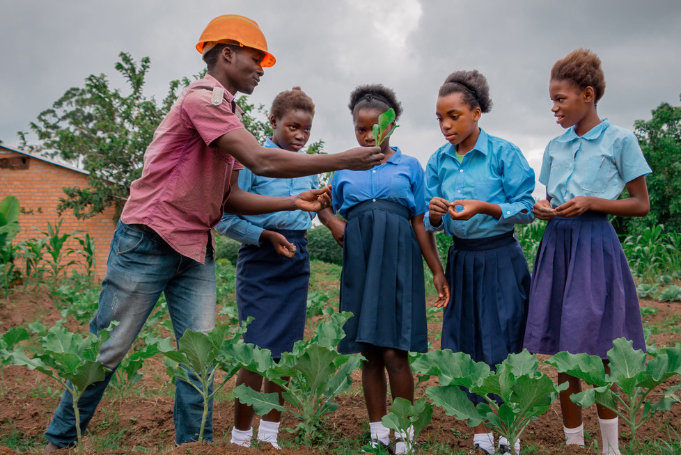 Chalice's sustainable farming project in Zambia